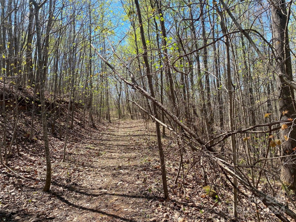 Lots 8 9 Wild Horse Drive