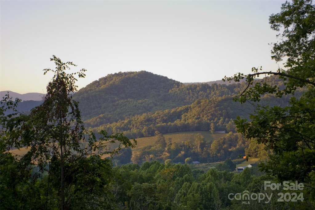 Lot 39 Tamarack Trail