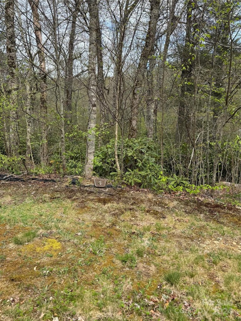 Tbd Linville River Drive 4 & 5 Phase ll