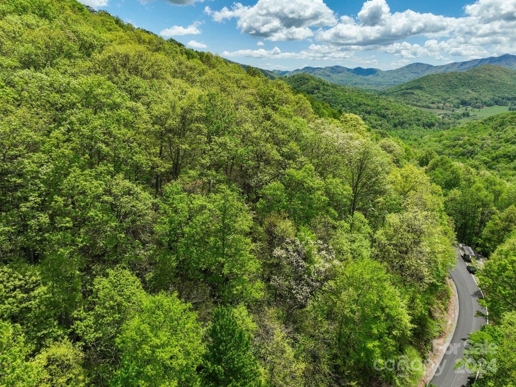 99999 Winding Poplar Road 909