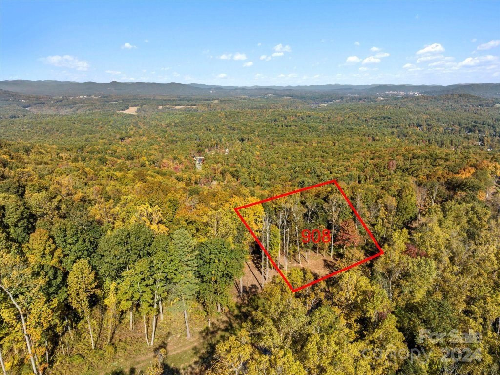 717 Tea House Drive 908