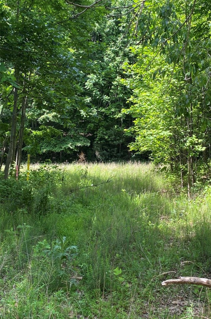 199 Cherry Hill None