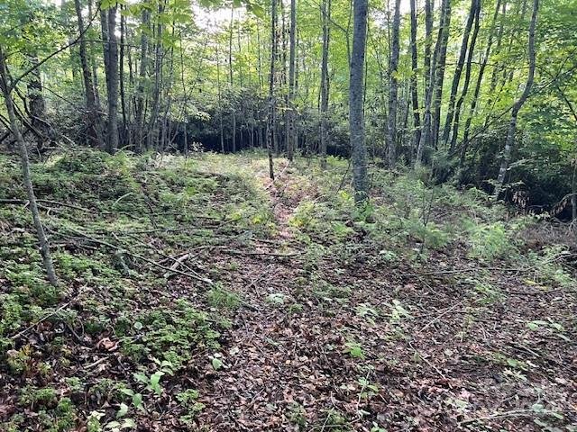 000 Old Chestnut Mountain Road