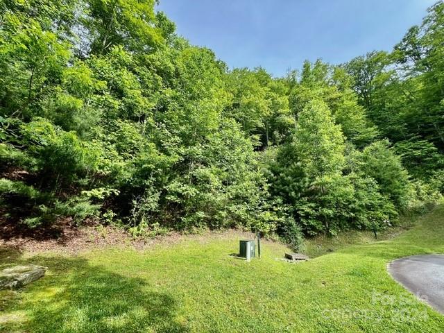 271 Mountain Morning Lane 41