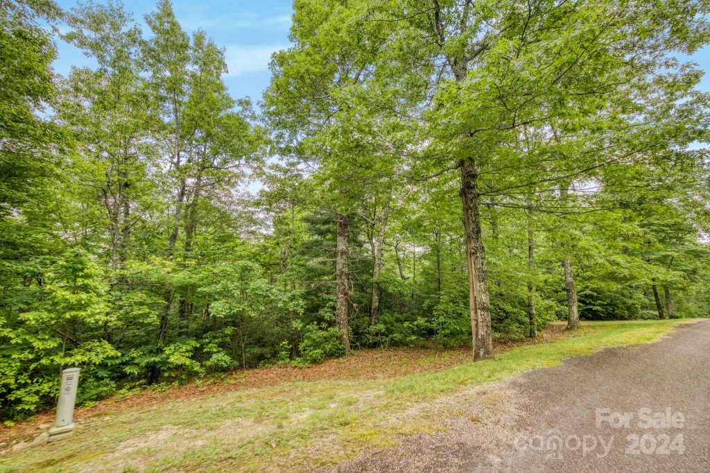 8 Sahalee Trail