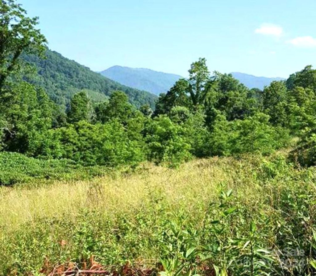 00 Split Pine Cove