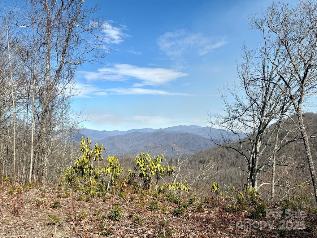 0 Highlands View Drive 56