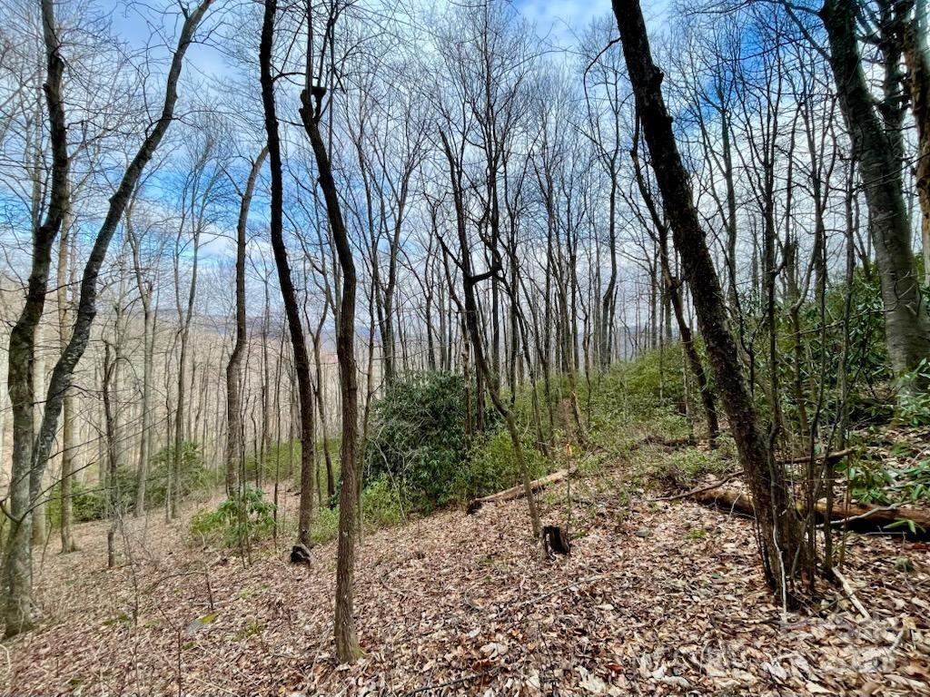 10 02 Acres Tbd Rock Garden Road