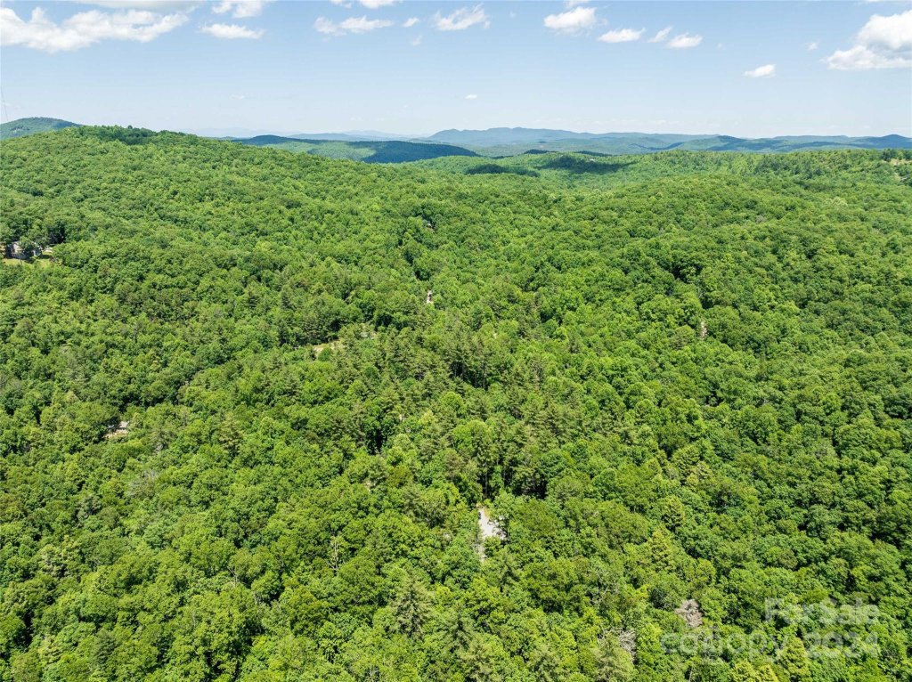 Happy Acres, Brevard community