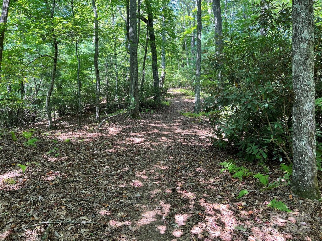 000 Open Ridge Trail 30