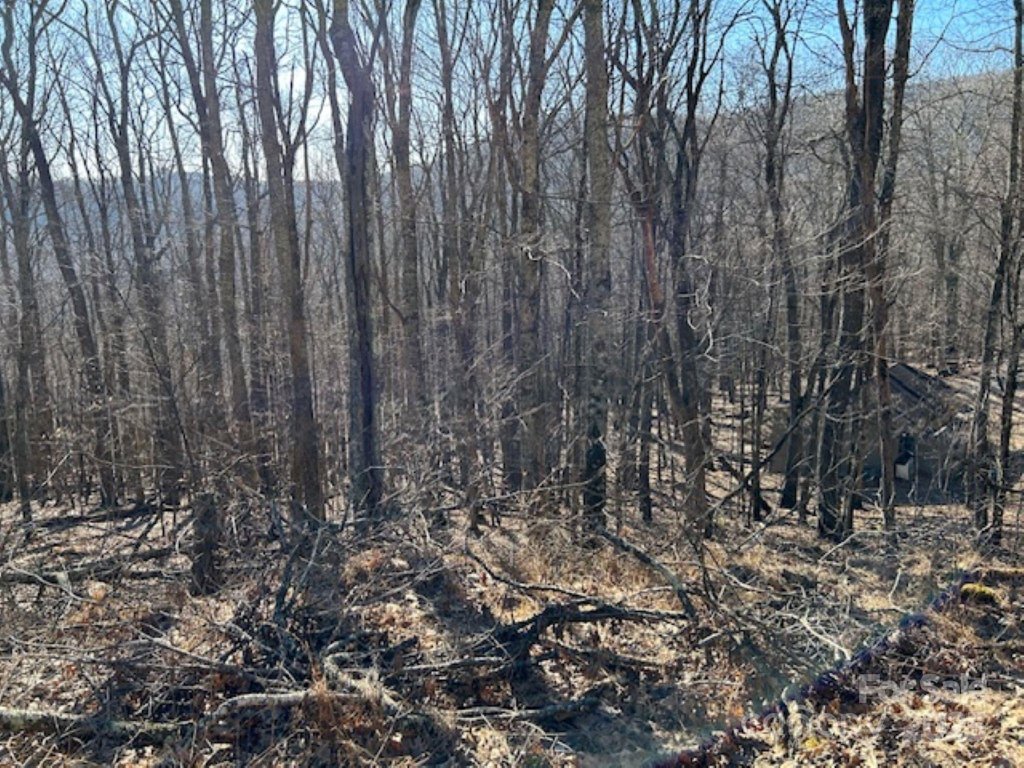 Wolf Laurel Heights, Mars Hill community