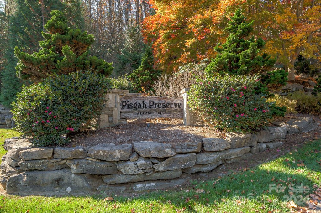 1504 Pisgah Preserve Road 6