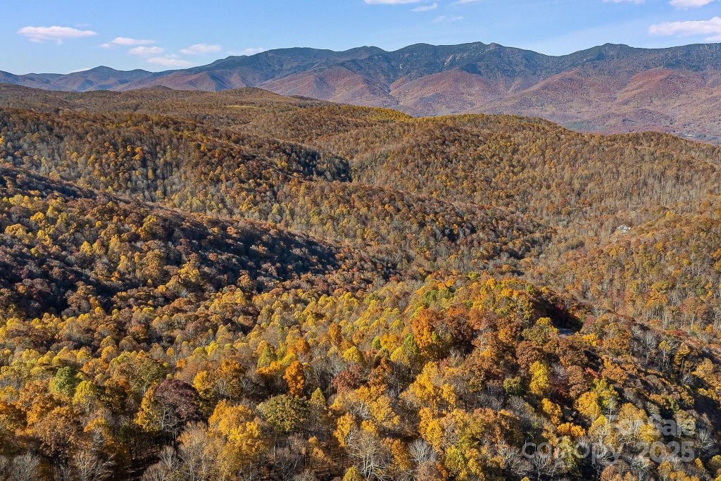 Tbd Lot 103 Alderfly Court