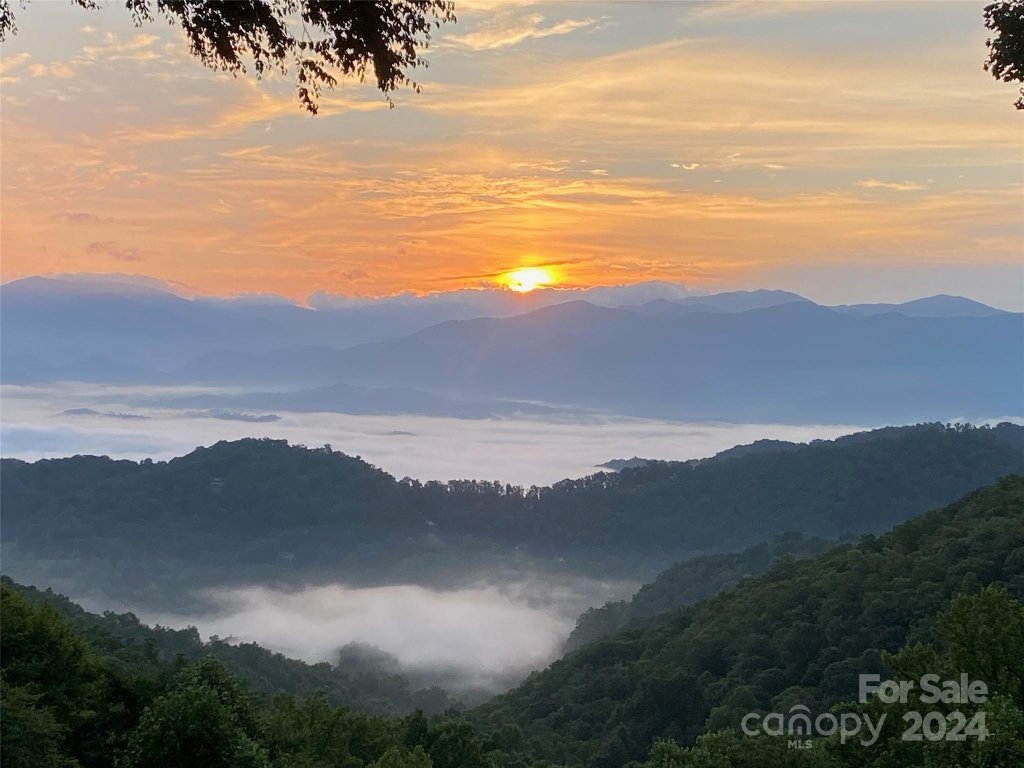 1651 Williamson Road