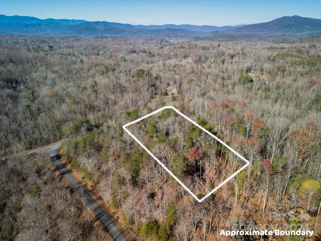 0 Forest Country Drive 60