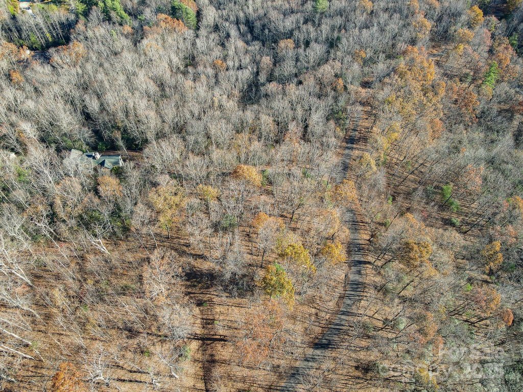 99999 Black Bear Ridge Trail