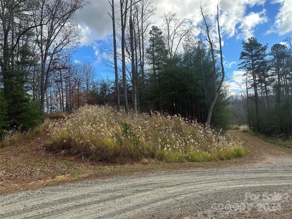 The Vines, Marshall community