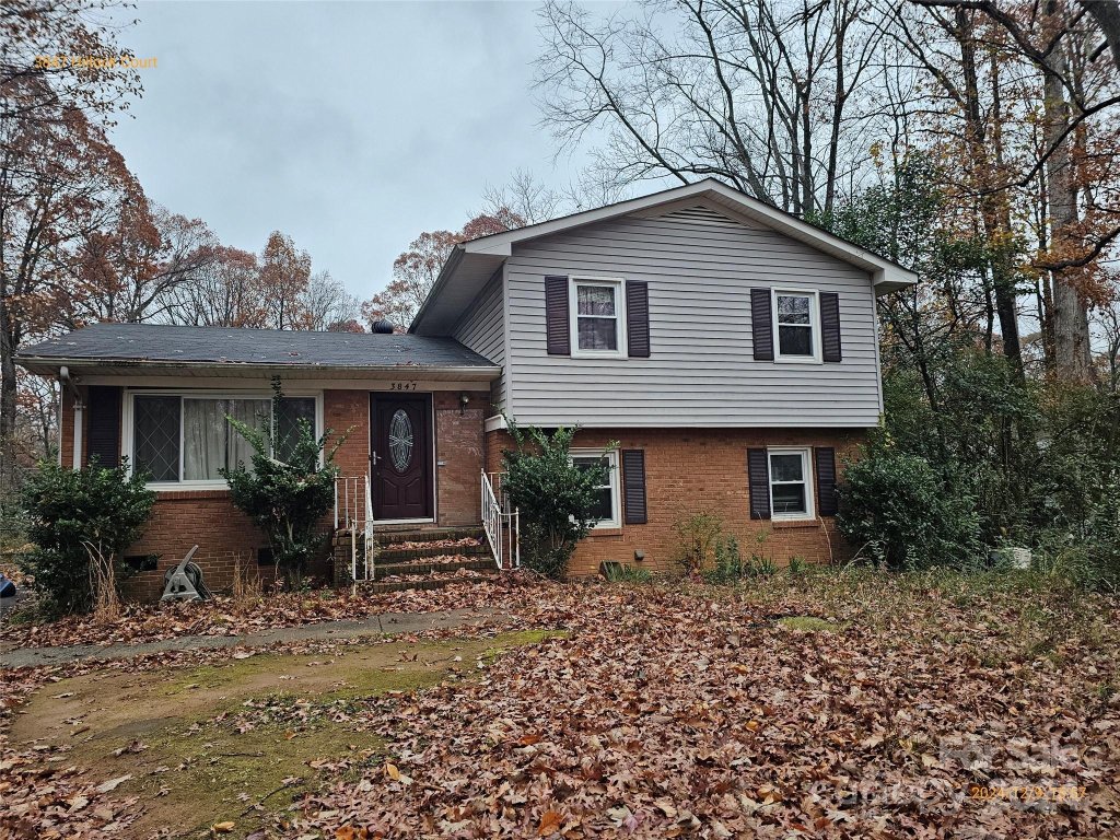 3847 Hillock Court