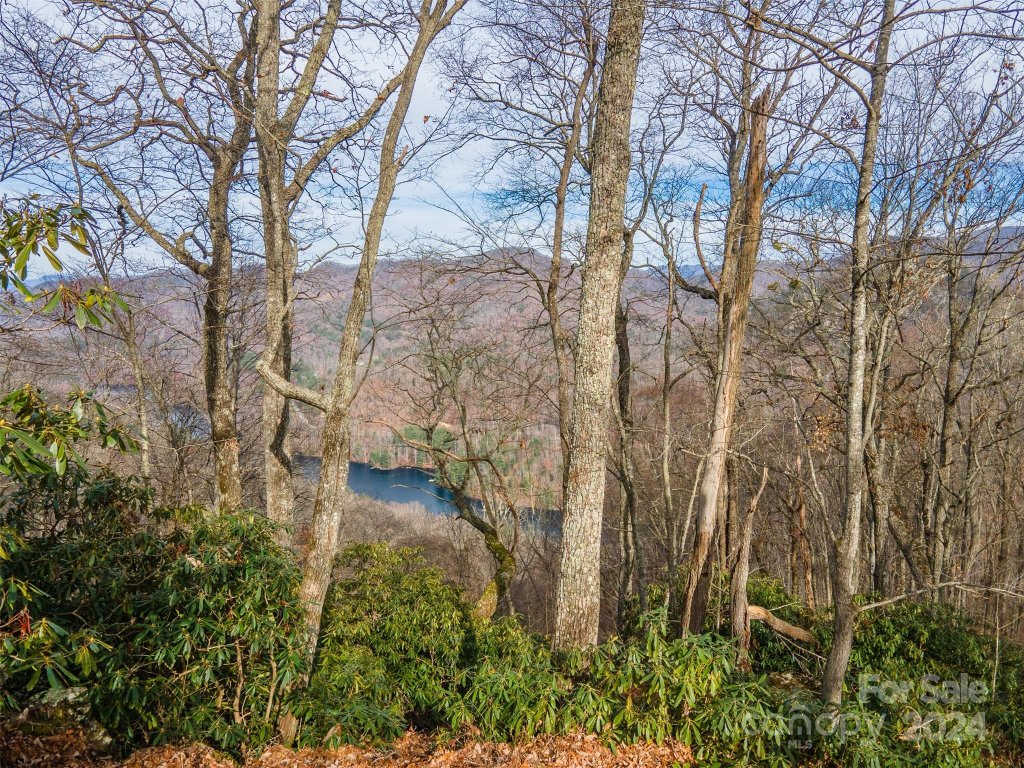 520 Morningside Drive 51