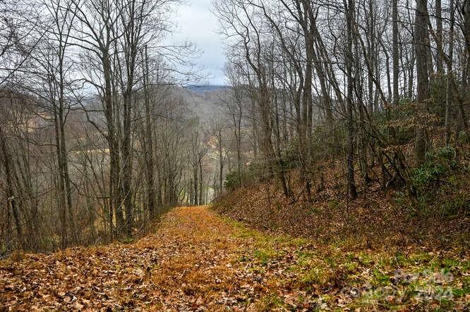 Winfield Estates, Clyde community