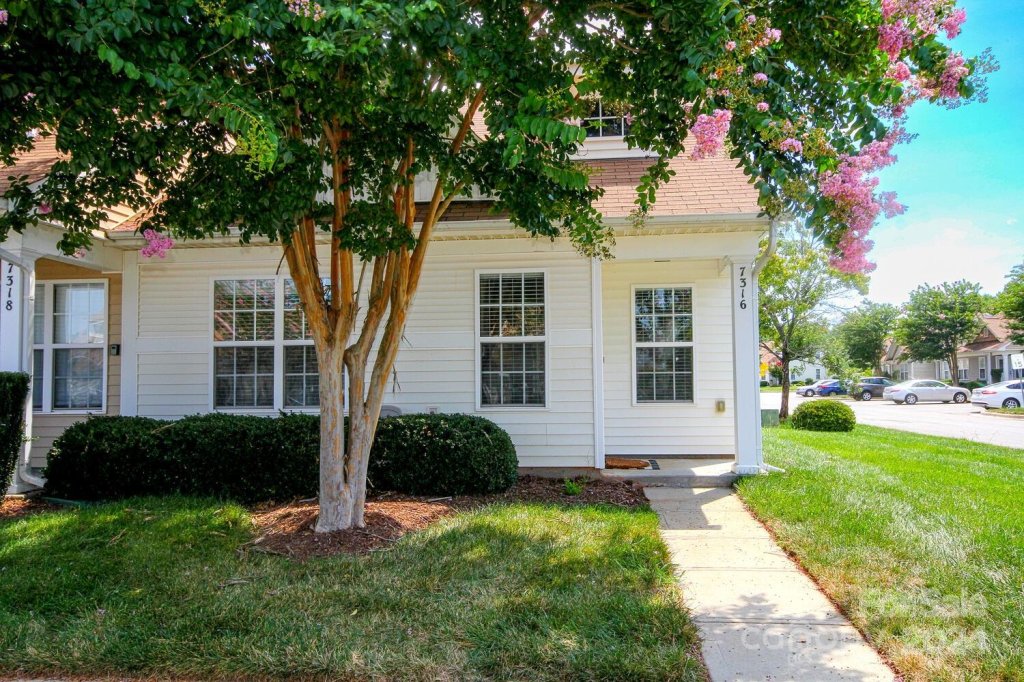 7316 Hollow Brook Court