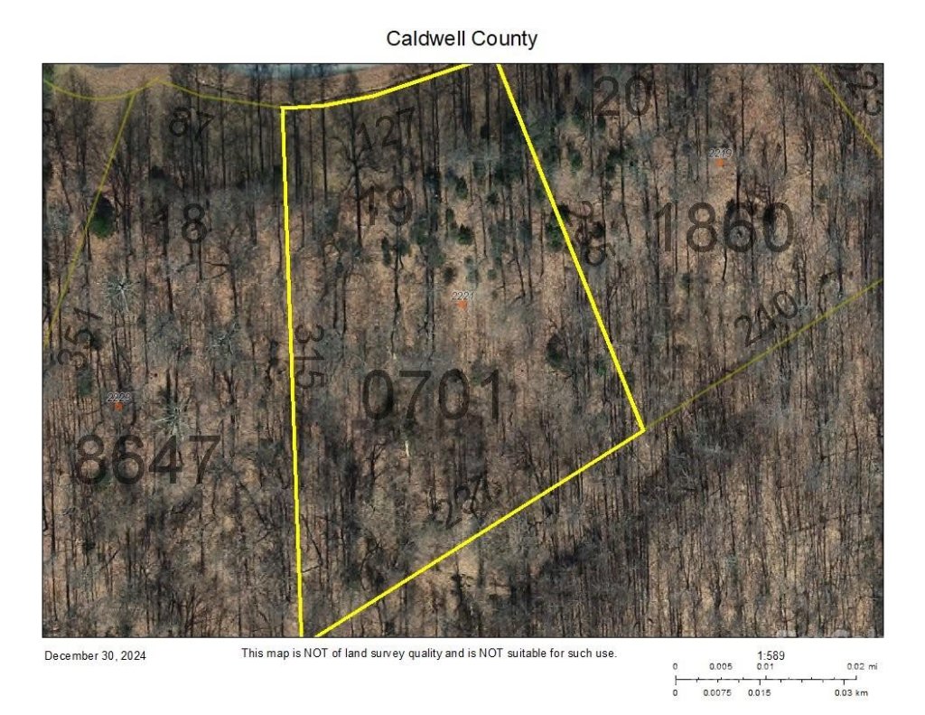 2221 Nighthawk Ridge Court 19