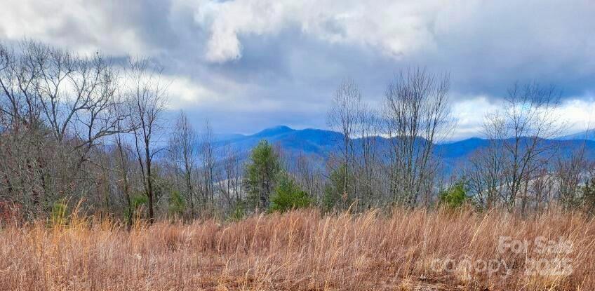 255 Clearview Lane 12