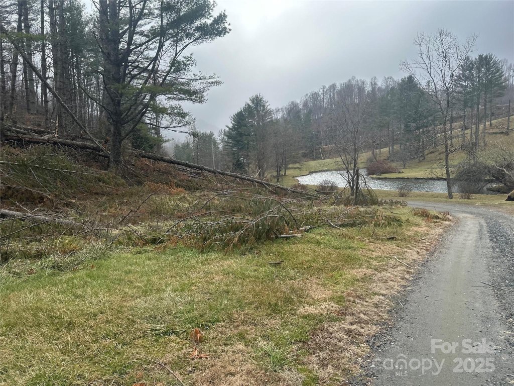 Beech Creek Estates, Bakersville community