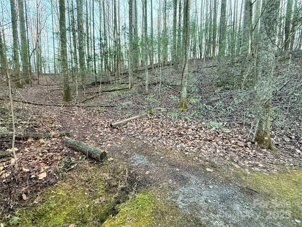 000 Spring Road