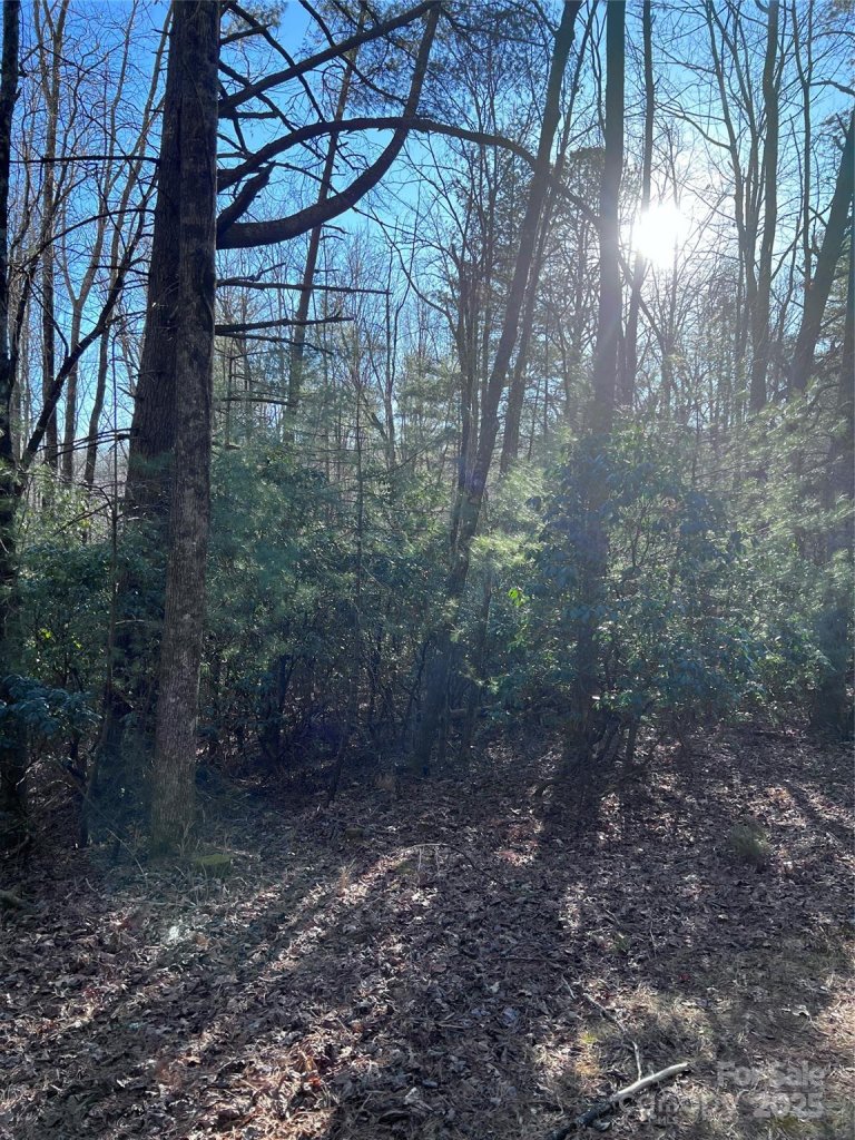 L26 Konnaneeta Trail U03 L026
