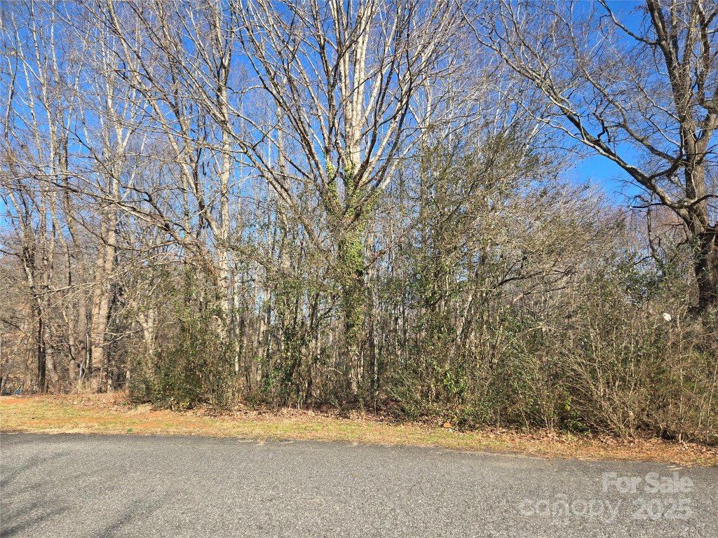 136 Walking Horse Run 19