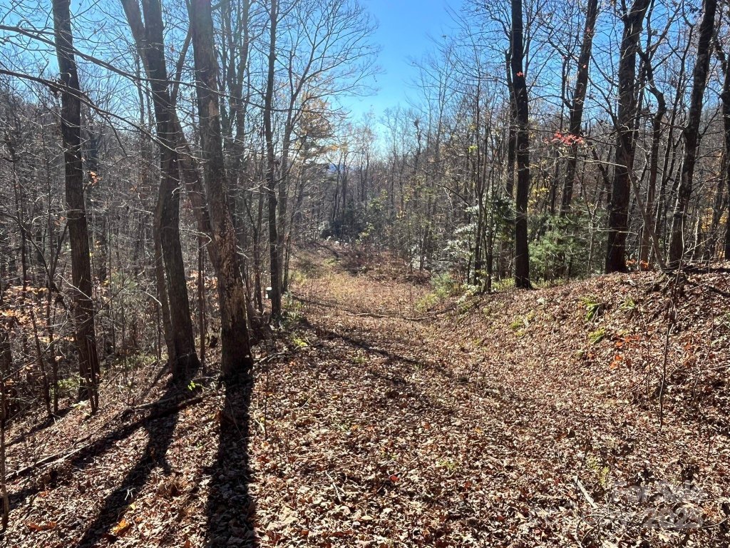 Tbd Eastatoe Gap Road 10