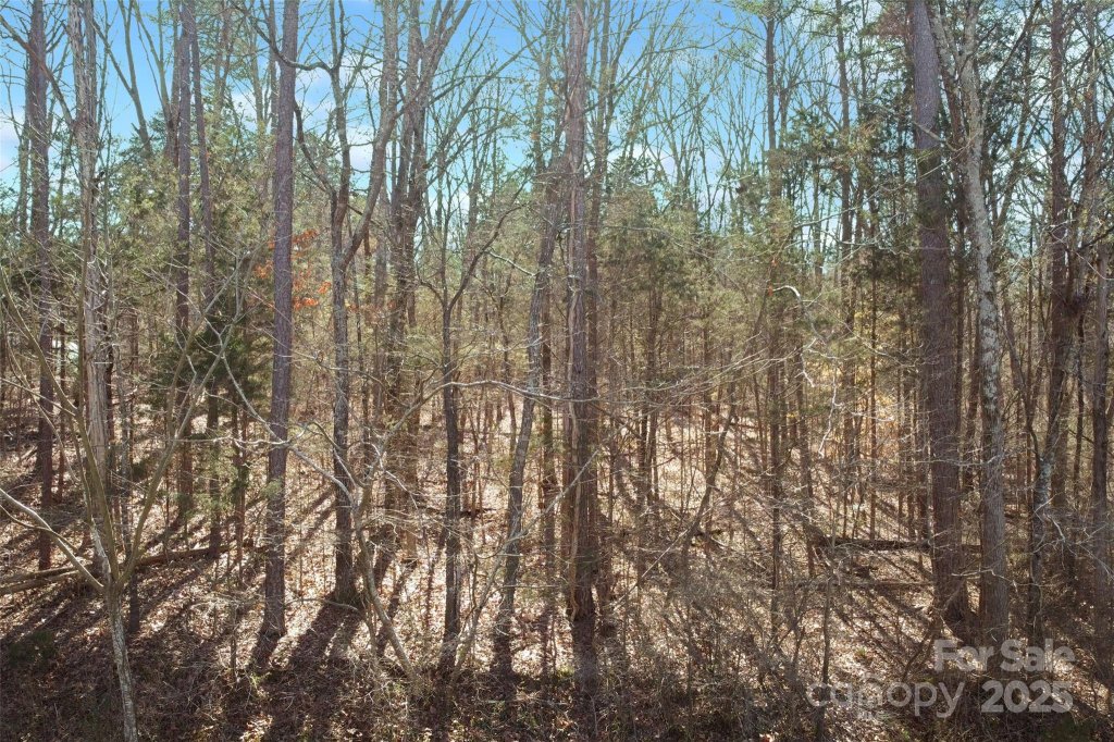 710 Breezewood Drive