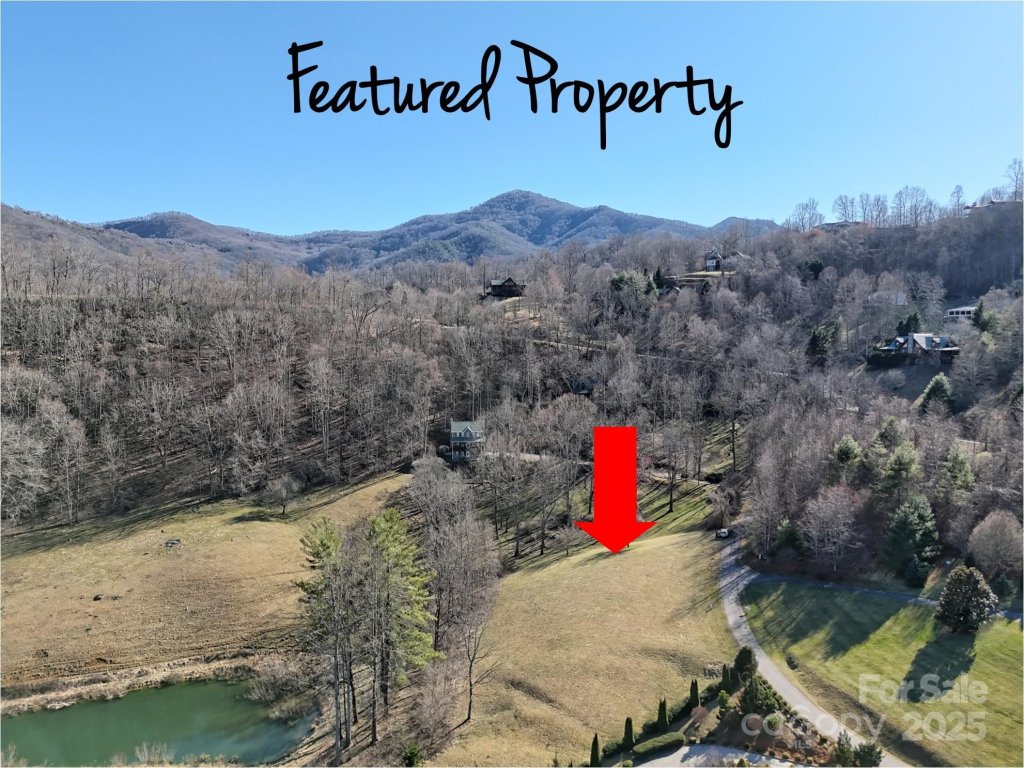 19 October Scenic Drive