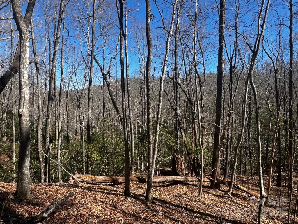 Lot 68 Cherrywood Lane