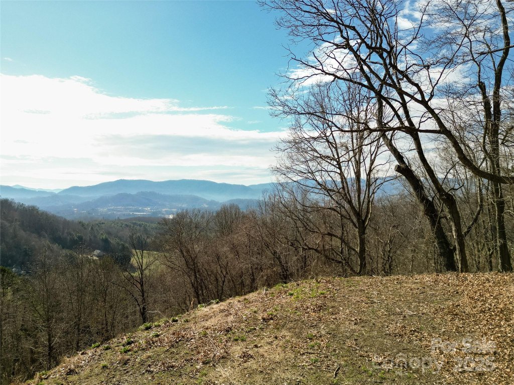 Junaluska Highlands, Waynesville community