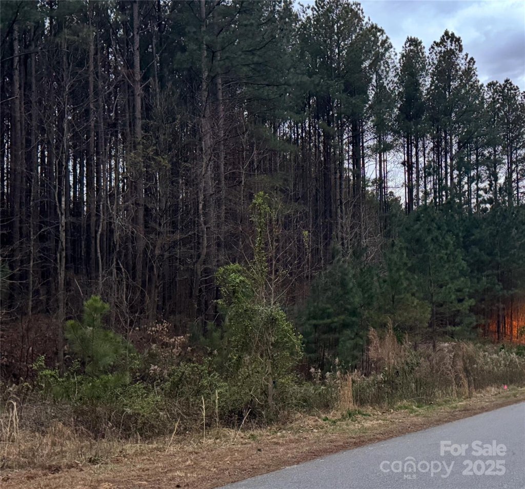 173 Winding Forest Drive