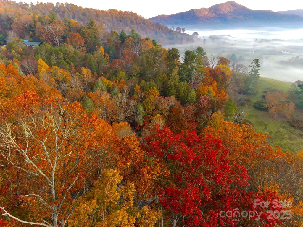 The Glens Of Ironduff, Waynesville community