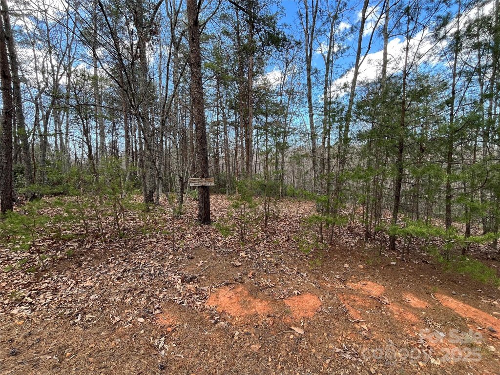 00 Grouse Ridge Drive