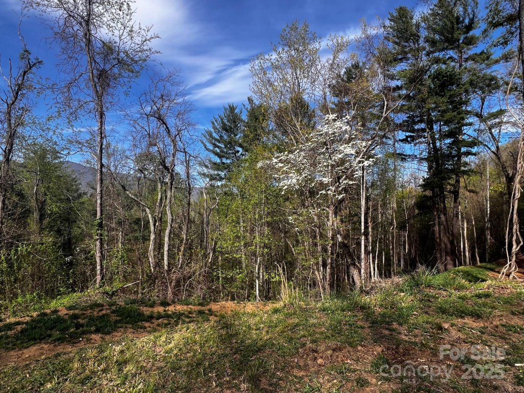 0 Little Creek Drive 5A