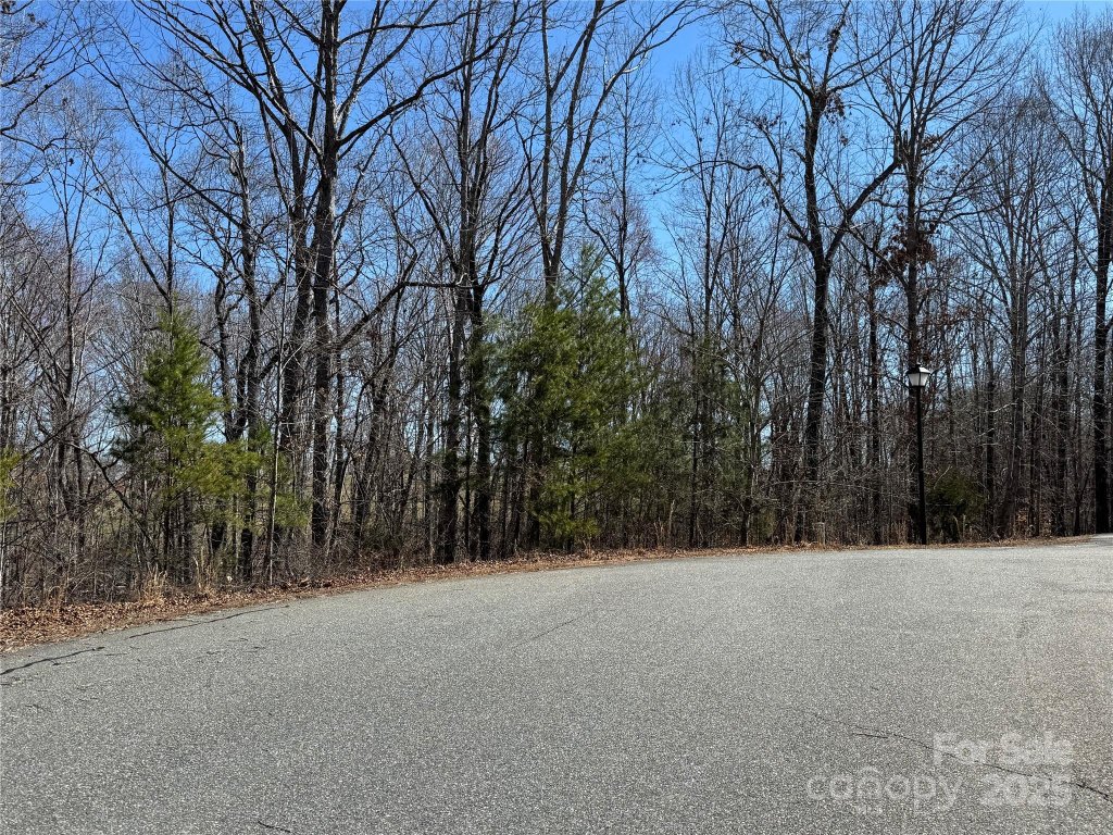 Ole Plantation, Rutherfordton community