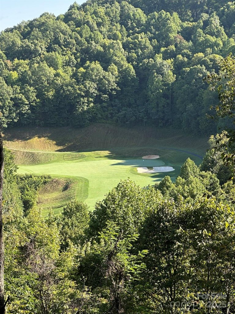 142 Old Growth Way 58