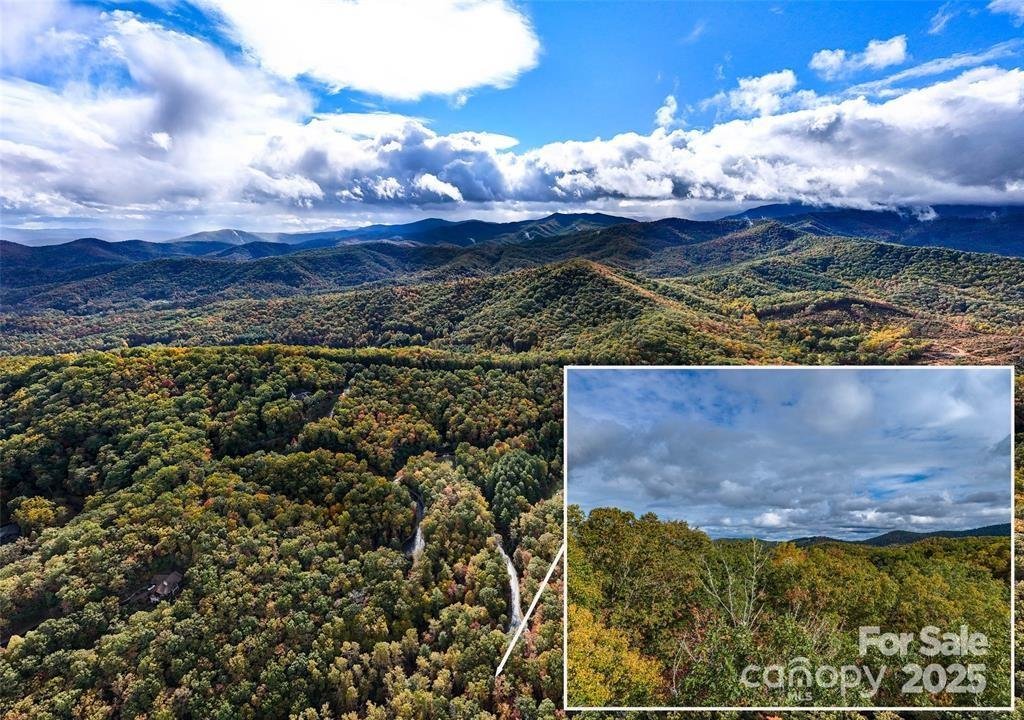 99999 Caddis Lane 91