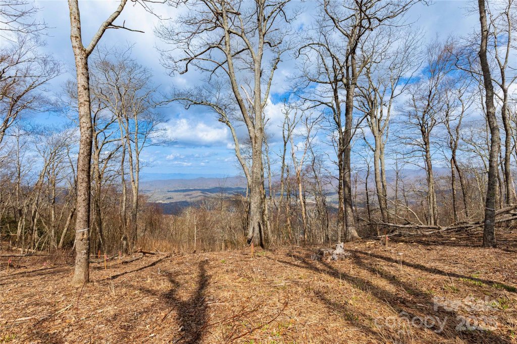 703 Fairview Forest Drive 2