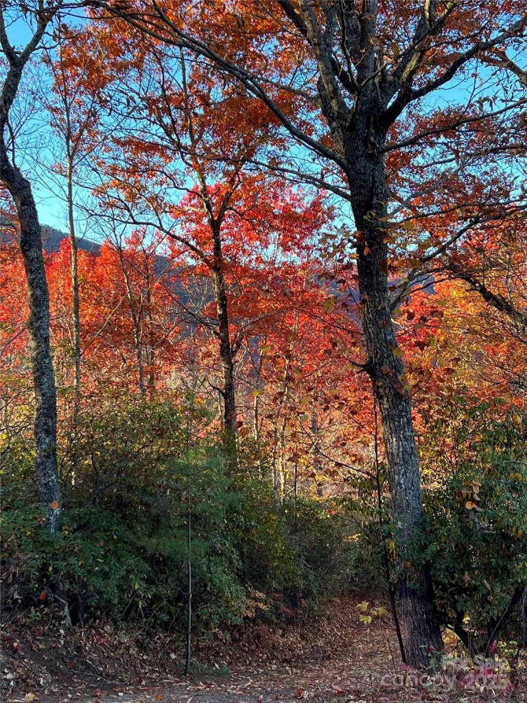 Hemlock Falls, Sylva community