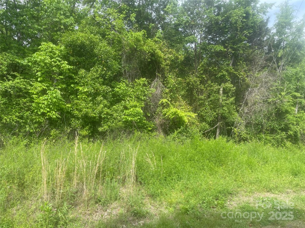 Washington Heights, Spencer community