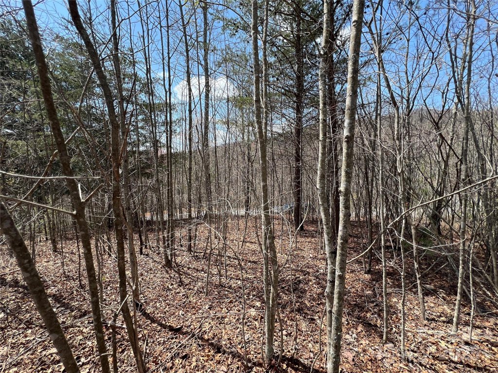 192 Pine Cone Trail 21