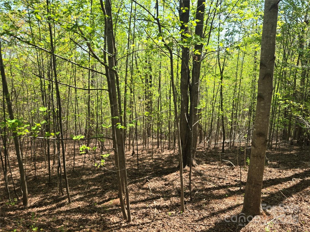 Lot 14 Back Hollow Drive