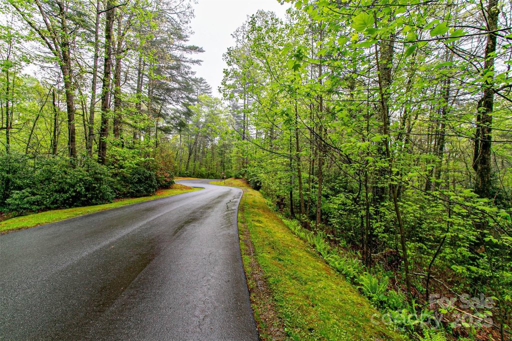 Tbd High Hemlock Trail 46