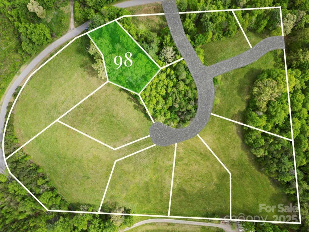 17 French Broad River Way 98